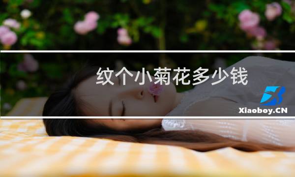 纹个小菊花多少钱