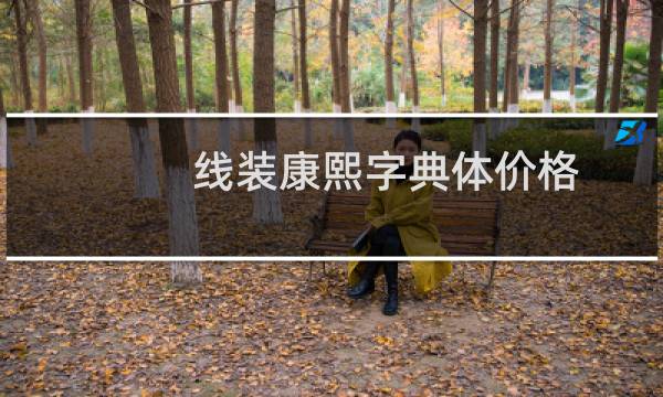 线装康熙字典体价格