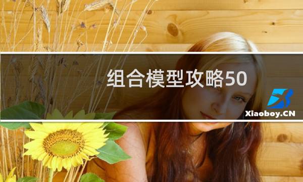 组合模型攻略50
