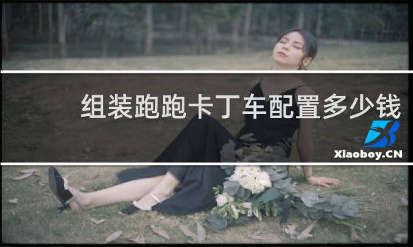 组装跑跑卡丁车配置多少钱