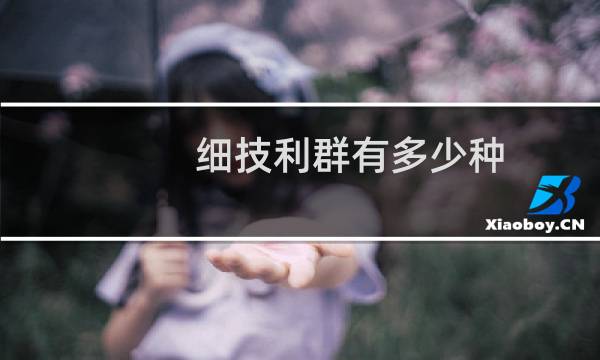 细技利群有多少种