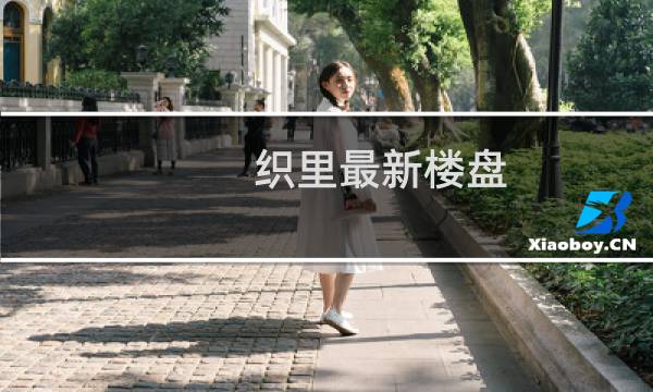 织里最新楼盘