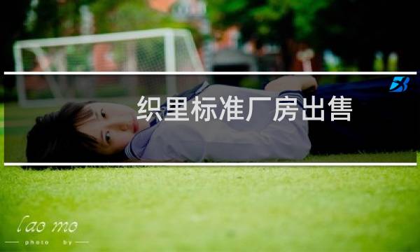 织里标准厂房出售