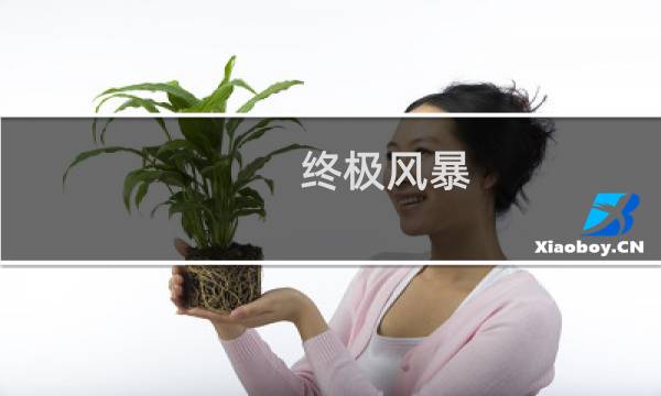 终极风暴 攻略