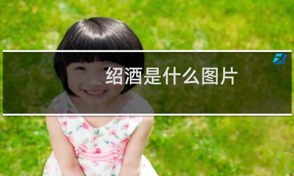 绍酒是什么图片