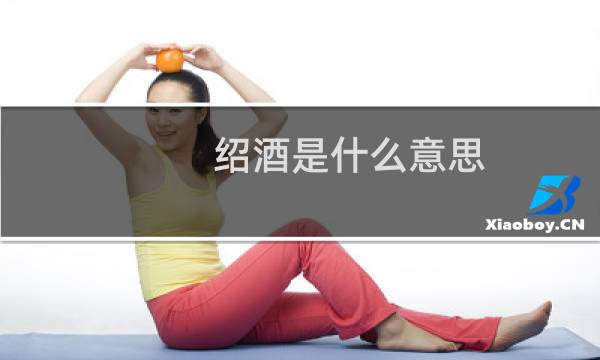 绍酒是什么意思