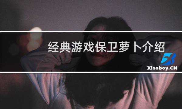 经典游戏保卫萝卜介绍