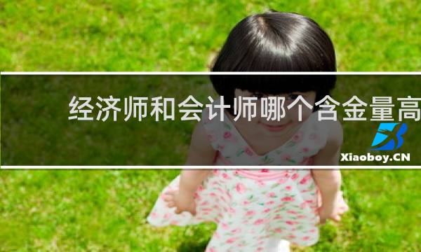 经济师和会计师哪个含金量高