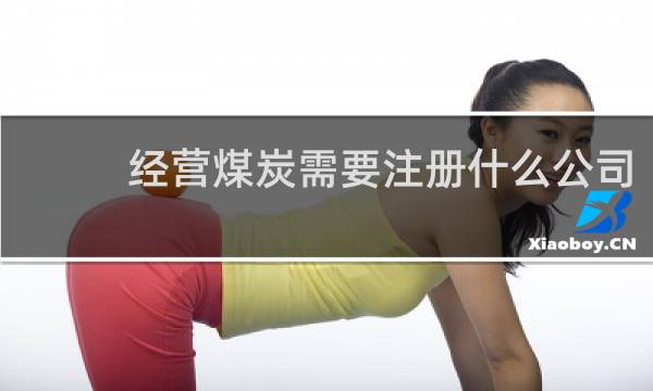 经营煤炭需要注册什么公司