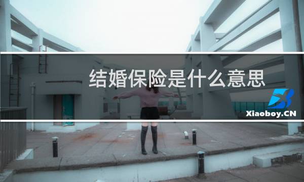 结婚保险是什么意思