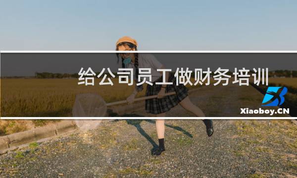 给公司员工做财务培训