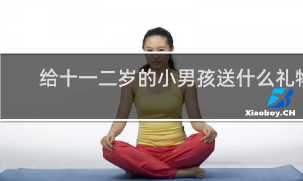 给十一二岁的小男孩送什么礼物