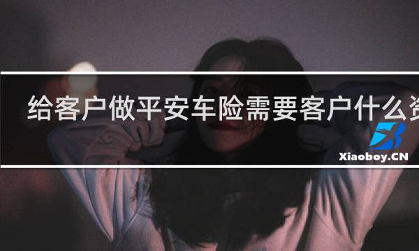 给客户做平安车险需要客户什么资料