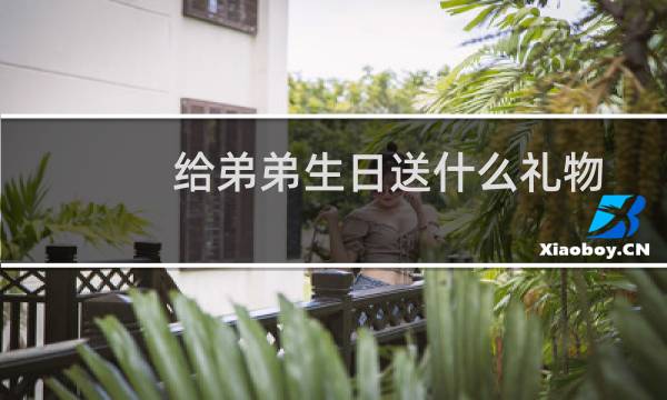 给弟弟生日送什么礼物