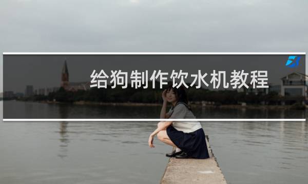 给狗制作饮水机教程