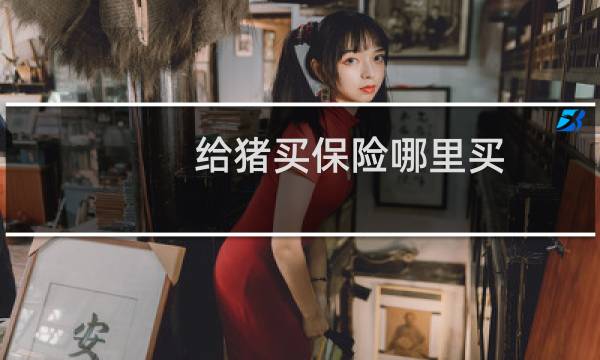 给猪买保险哪里买