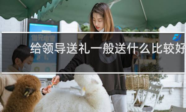 给领导送礼一般送什么比较好