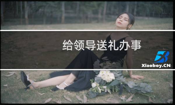 给领导送礼办事