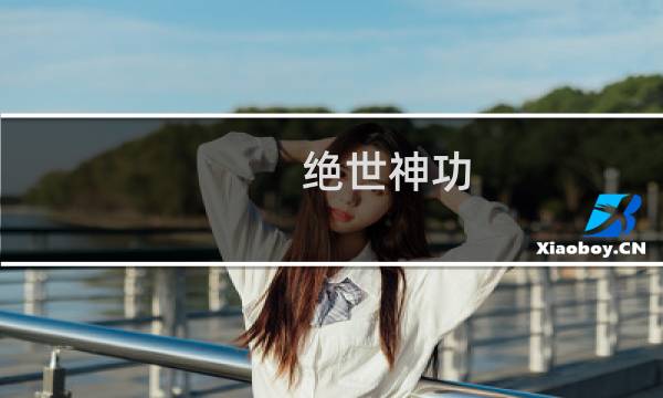 绝世神功 攻略