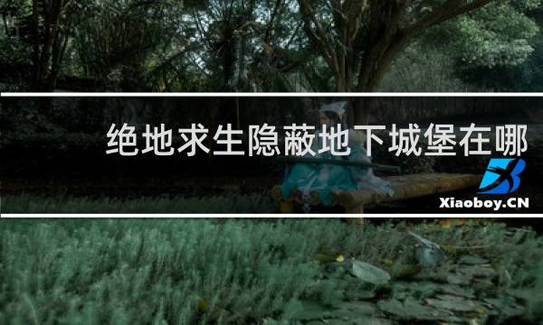 绝地求生隐蔽地下城堡在哪