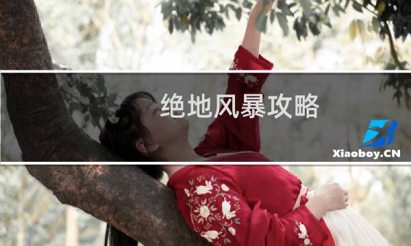 绝地风暴攻略