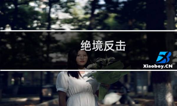 绝境反击 攻略