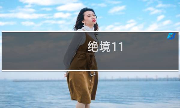 绝境11 攻略
