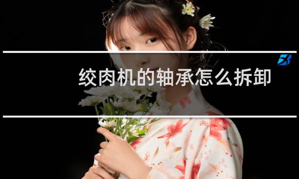 绞肉机的轴承怎么拆卸