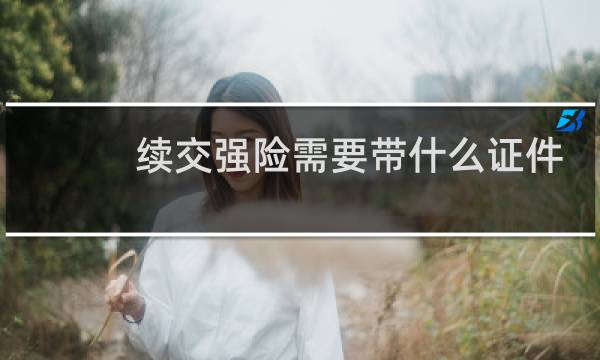 续交强险需要带什么证件