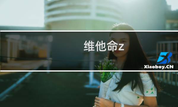 维他命z 攻略