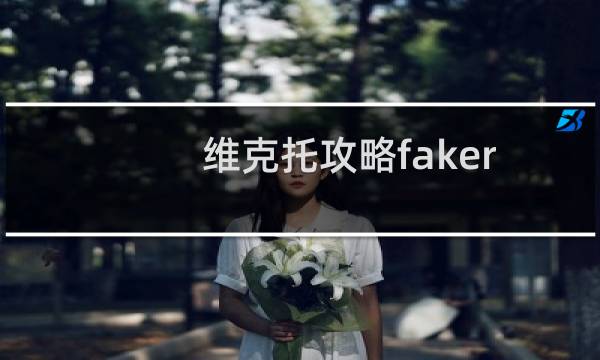 维克托攻略faker