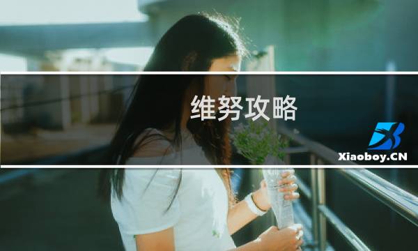 维努攻略
