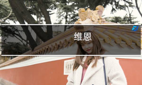 维恩 攻略