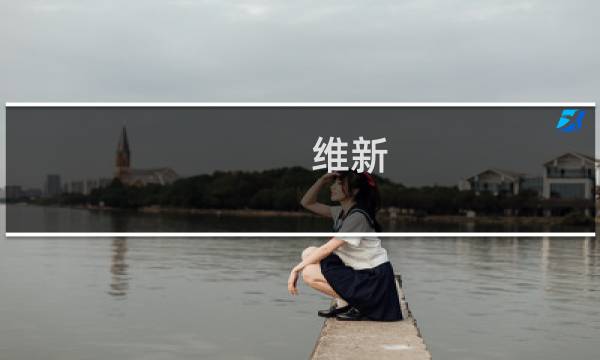 维新 攻略书