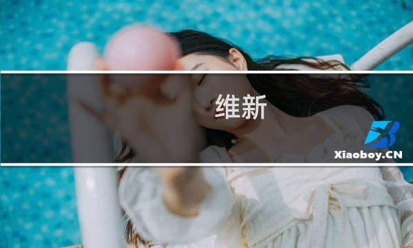 维新 攻略极致