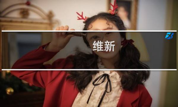 维新 攻略