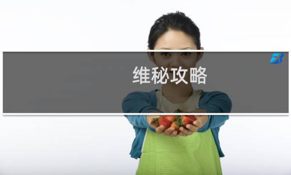 维秘攻略