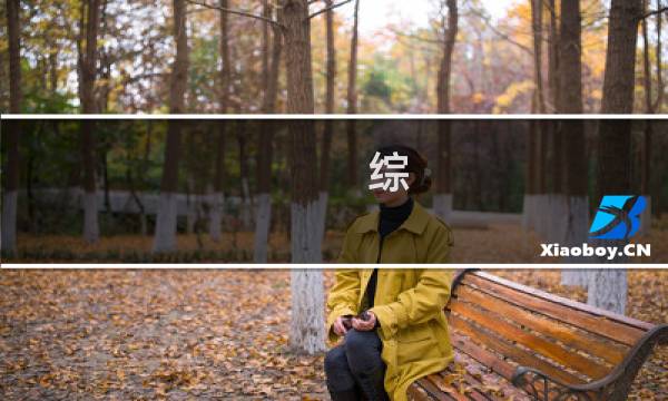 综 攻略之心