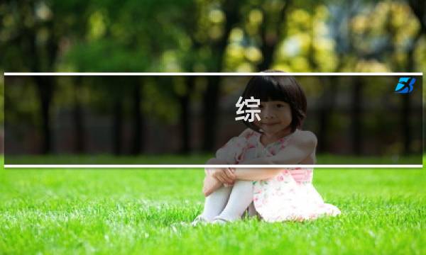 综 攻略笔记 txt