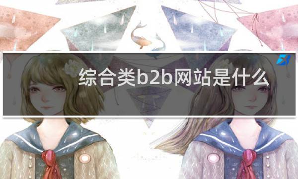 综合类b2b网站是什么