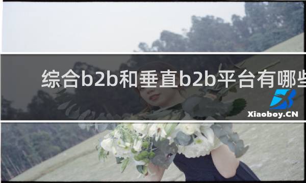 综合b2b和垂直b2b平台有哪些