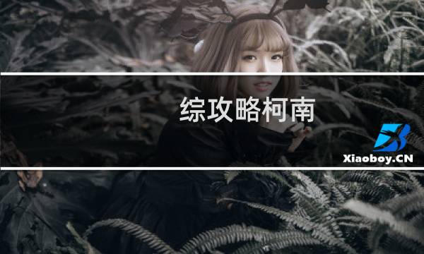 综攻略柯南