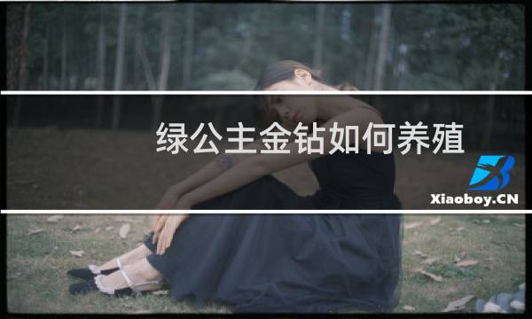 绿公主金钻如何养殖