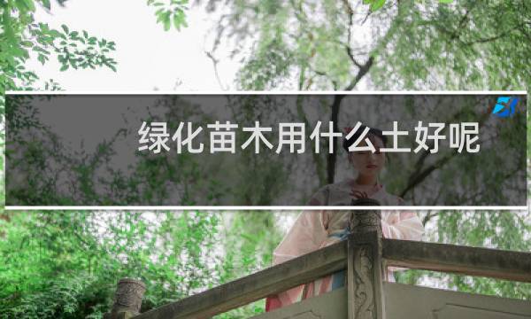 绿化苗木用什么土好呢