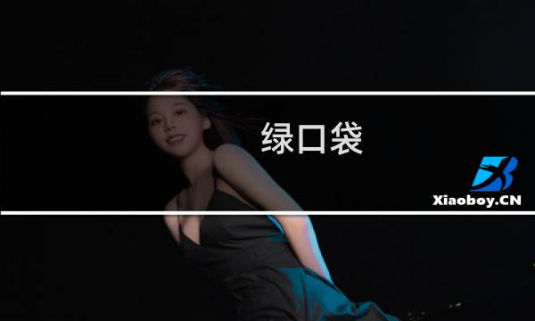 绿口袋 攻略
