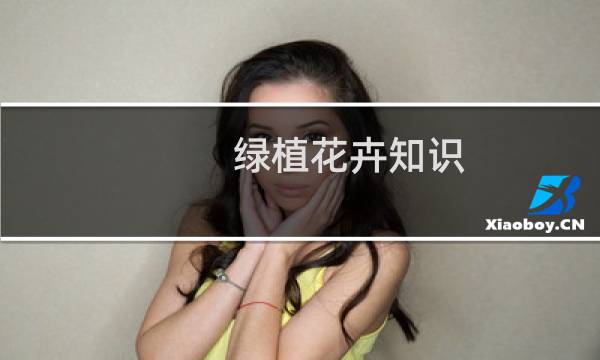 绿植花卉知识