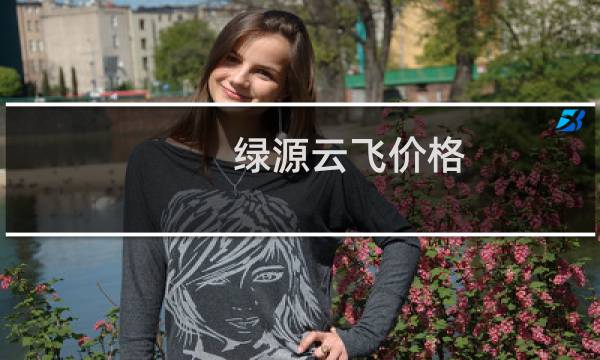 绿源云飞价格