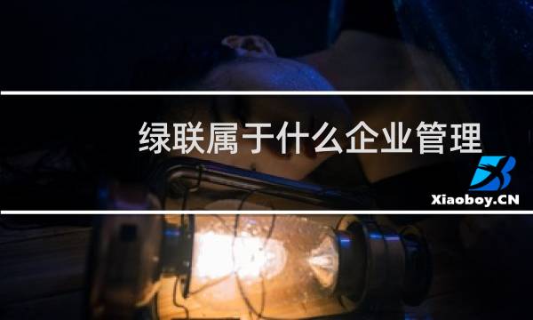 绿联属于什么企业管理