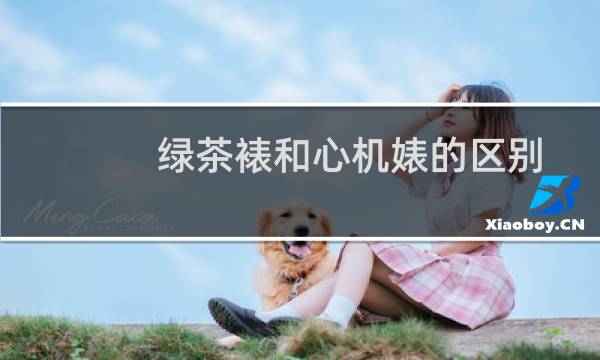绿茶裱和心机婊的区别