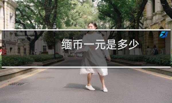 缅币一元是多少